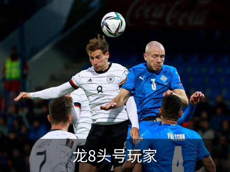 关于龙8头号玩家